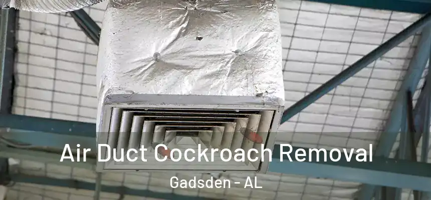  Air Duct Cockroach Removal Gadsden - AL