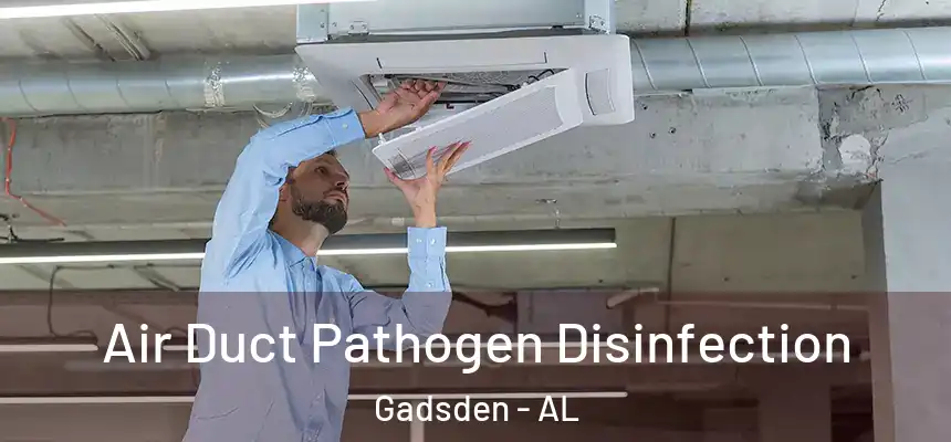Air Duct Pathogen Disinfection Gadsden - AL