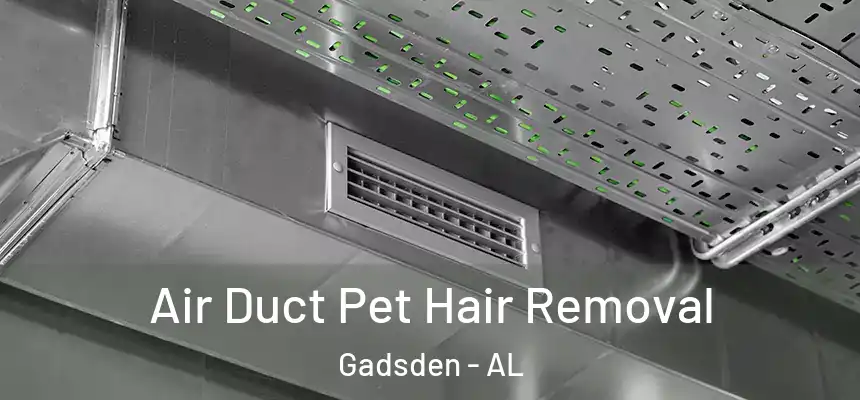 Air Duct Pet Hair Removal Gadsden - AL