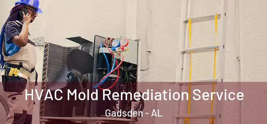  HVAC Mold Remediation Service Gadsden - AL