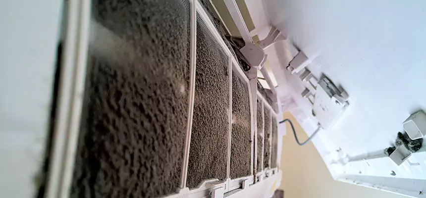 Preventive Air Duct Bacteria Removal in Gadsden