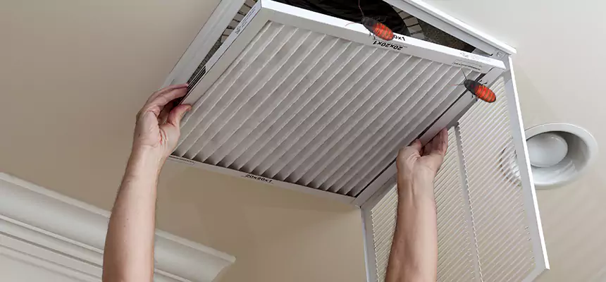 Our Insect Removal from Air Ducts Services in Gadsden, AL
