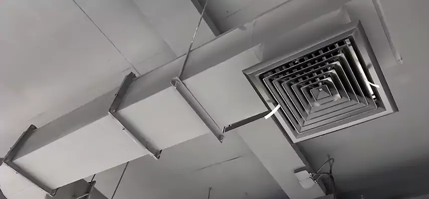 Our Pest Removal From Ducts Services in Gadsden, AL