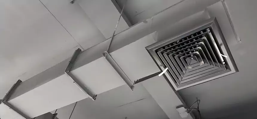 Our Rodent Droppings In Vents Services in Gadsden, AL