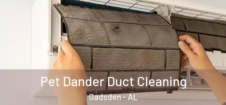 Pet Dander Duct Cleaning Gadsden - AL