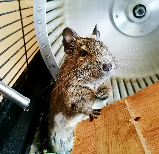 Why Homeowners & Businesses Trust Us Gadsden, AL?